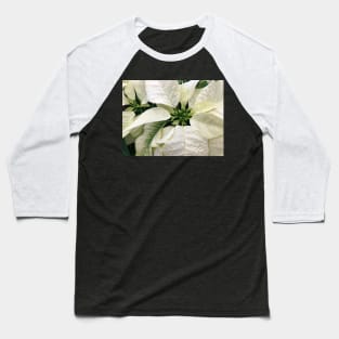 A White Peaceful Poinsettia for a Joyous Christmas Baseball T-Shirt